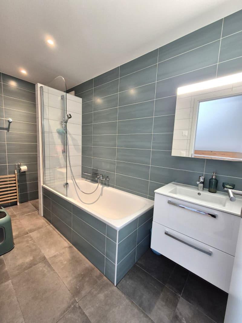 Superbe attique duplex Minergie de 4,5 pièces à deux pas du lac (7)