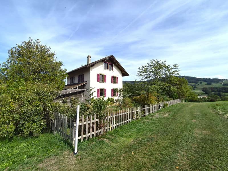 Une propriété de caractère dans l'écrin de verdure du Golf de Lavaux (2)
