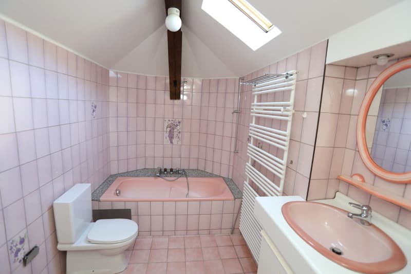 Grand Dupex Attique de 3,5 pièces dans maison villageoise (12)