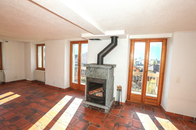 Grand Dupex Attique de 3,5 pièces dans maison villageoise (5)