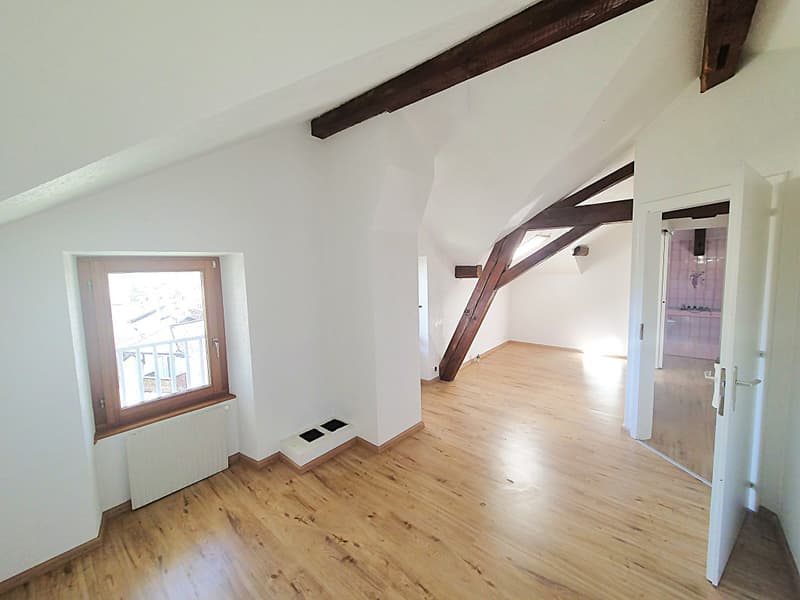 Grand Dupex Attique de 3,5 pièces dans maison villageoise (8)