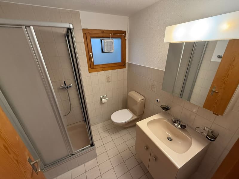 Modernisierte und grosszügige 4.5 Zimmer Dachwohnung an ruhiger Lage (8)
