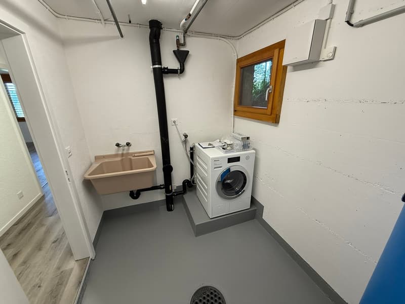 Modernisierte und grosszügige 4.5 Zimmer Dachwohnung an ruhiger Lage (11)