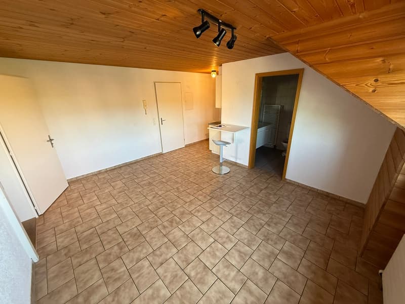 Gemütliche 2-Zimmer-Wohnung in Forst b. Längenbühl (2)