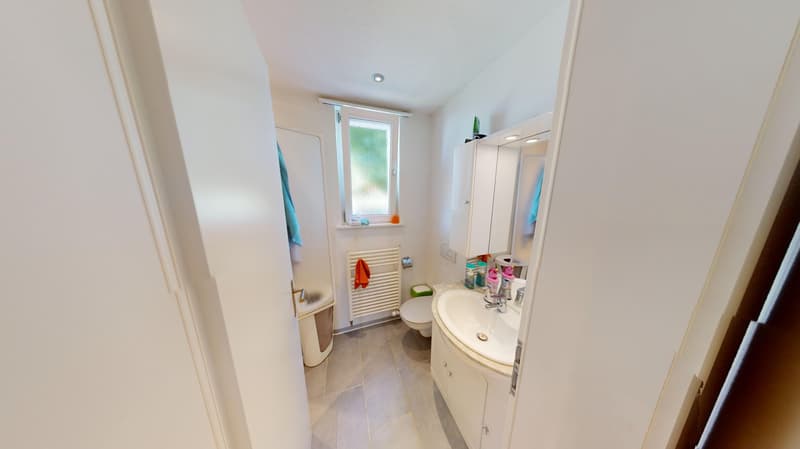 Maison multifamiliale centrale avec grand jardin (8)