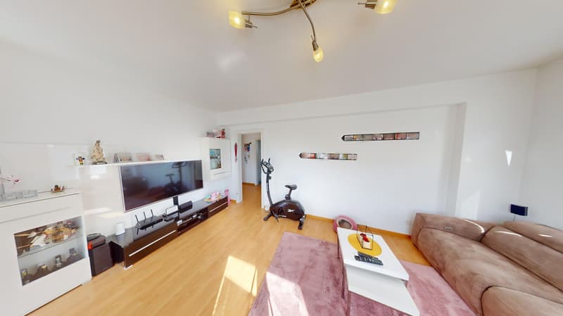 Maison multifamiliale centrale avec grand jardin (3)