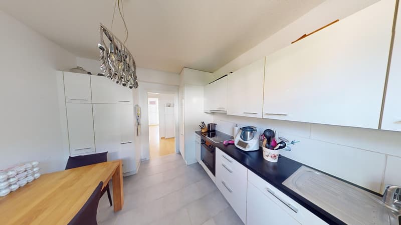 Maison multifamiliale centrale avec grand jardin (5)
