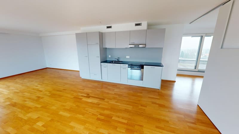 modern kitchen, white cupboards, wooden flooring, stainless steel appliances, central island, full-height windows