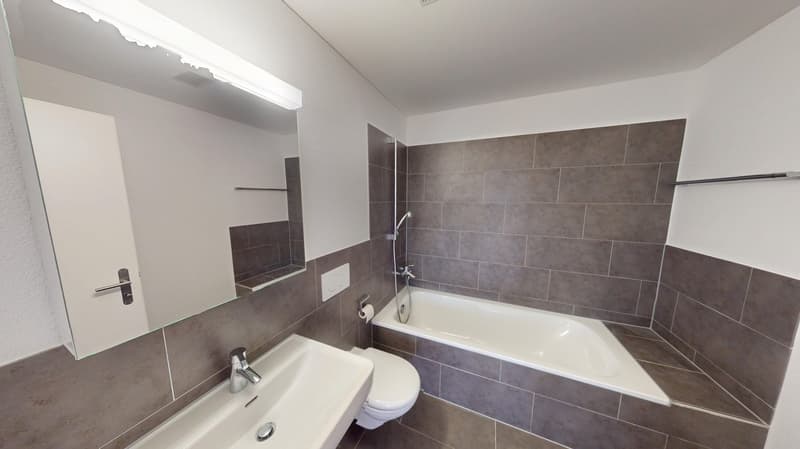 Bathroom, white tub, gray tiles, white sink, modern fixtures, large mirror