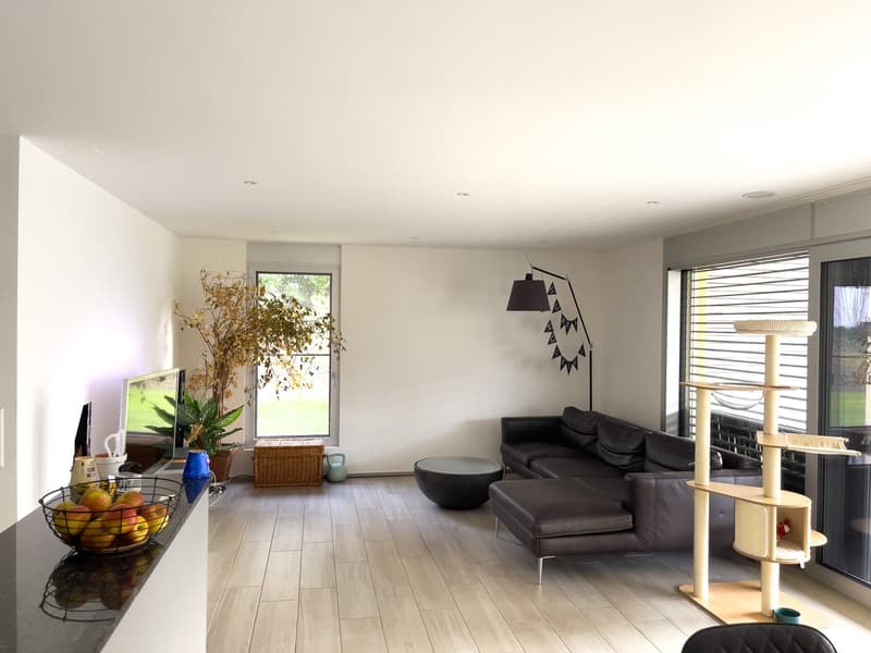 modern living room, black leather sofa, round coffee table, floor lamp, cat tree, large windows, plants, TV, kitchen counter with fruit bowl