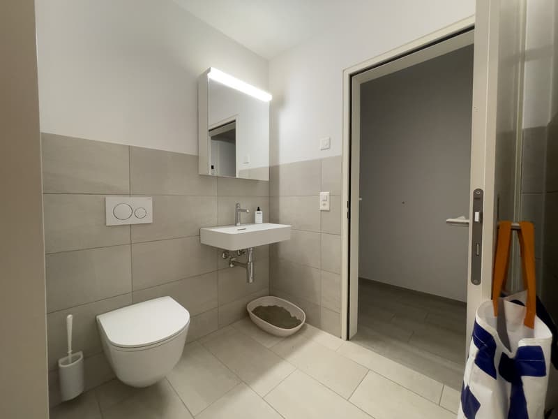 modern bathroom with white tiles, white toilet, white sink, mirror, and a pet dish