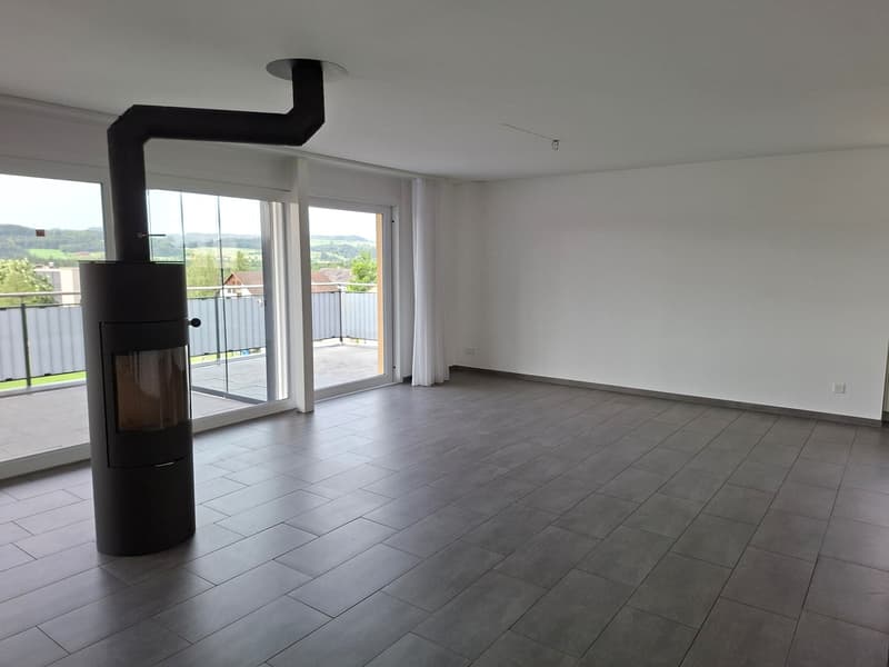 4.5 Zimmer-Attikawohnung mit direktem Liftzugang (3)