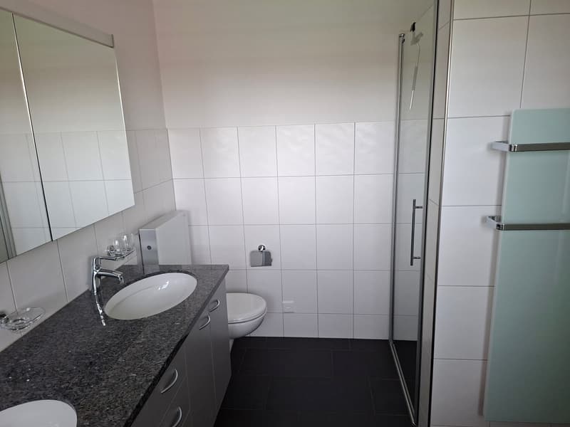 4.5 Zimmer-Attikawohnung mit direktem Liftzugang (8)