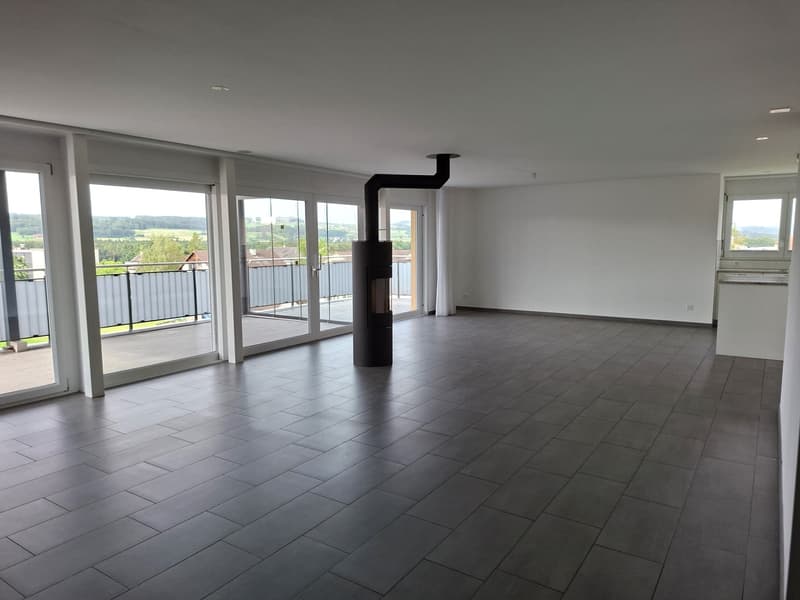 4.5 Zimmer-Attikawohnung mit direktem Liftzugang (4)
