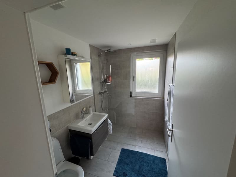 moderne 3.5 Zimmer KLIMA-KOMFORT-WHG im Erdgeschoss (4)