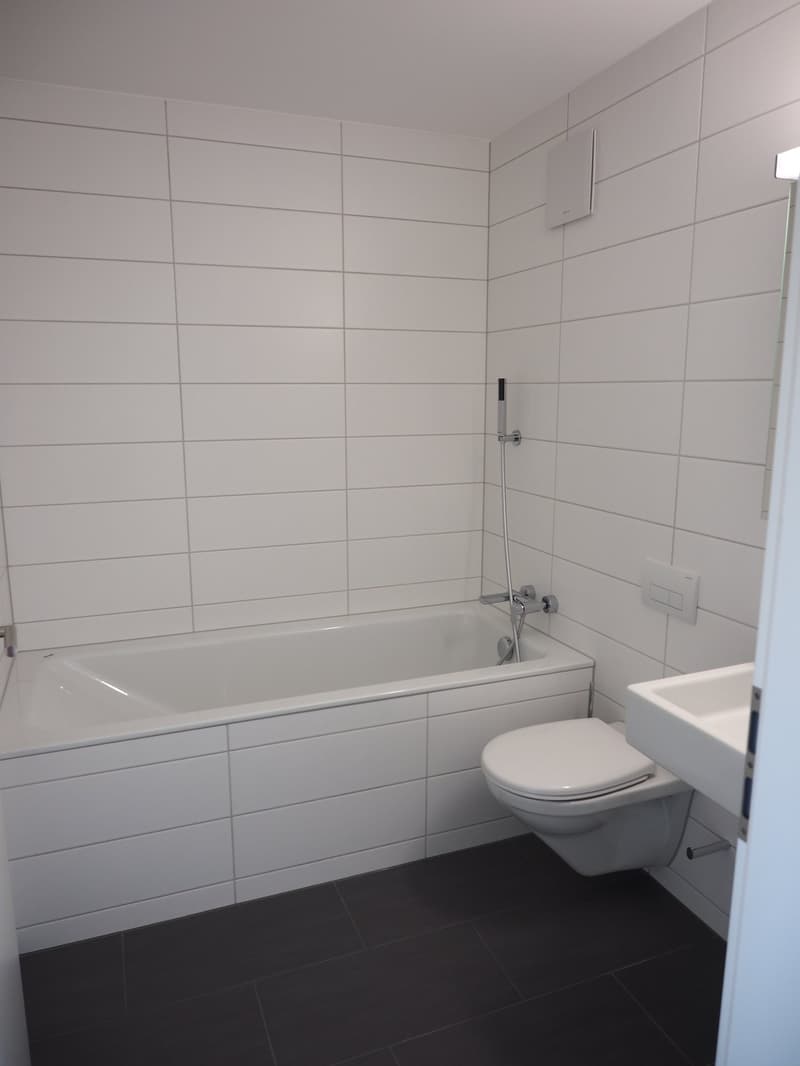 3½ • Modern • Klima-Komfort-WHG im 1. OG • Ruhige Umgebung (6)