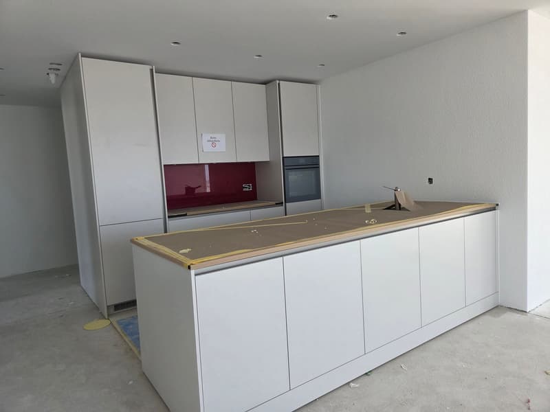 Traumhafte 4.5 Zimmer-Attikawohnung (Neubau) im Eigentumsstandard (2)