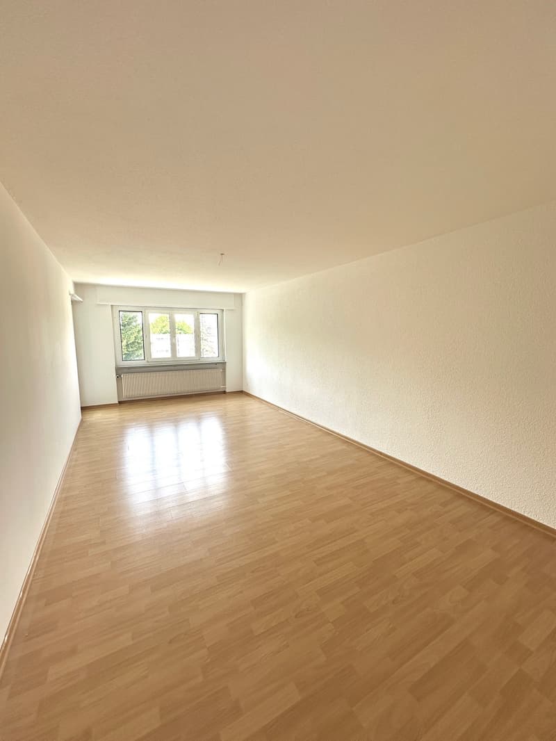 Helle 4-Zimmer-Wohnung mit Balkon in St. Gallen (8)