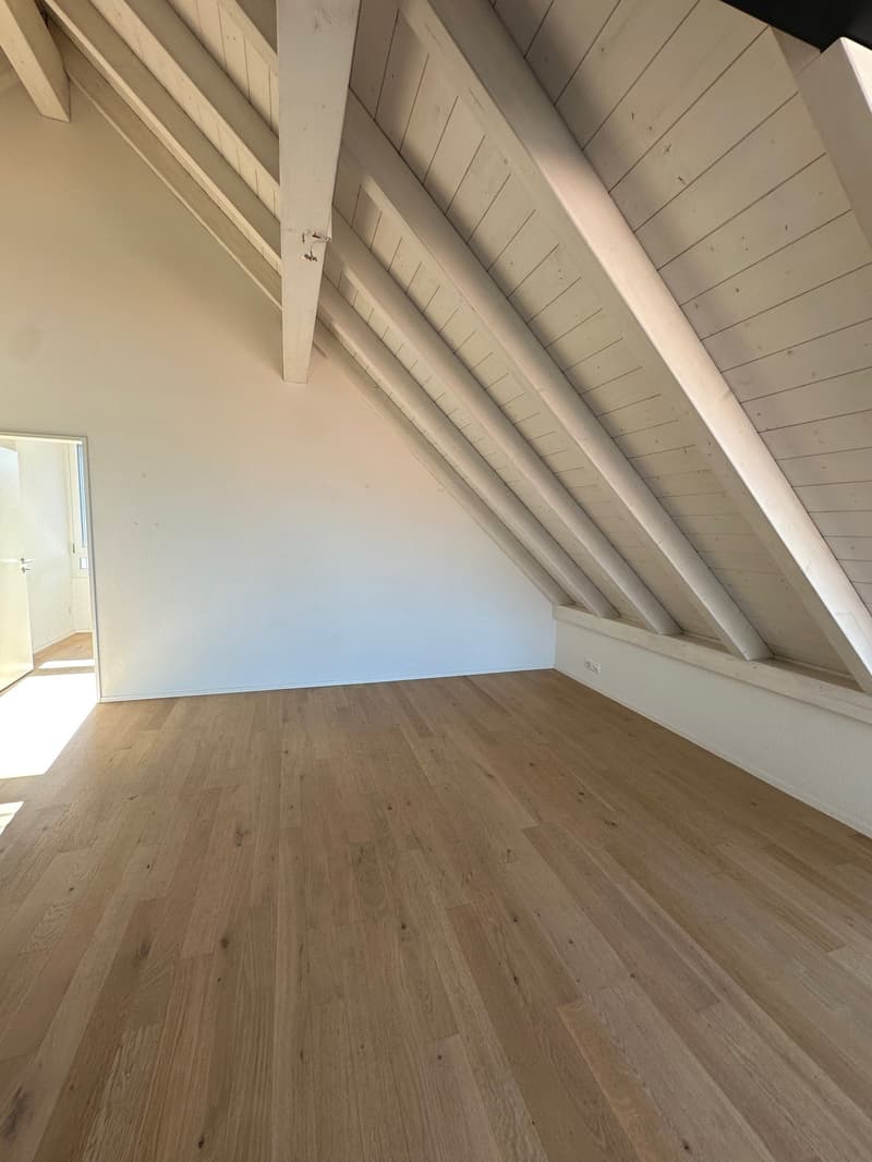 Charmante & helle 2.5-Zimmer-Dachwohnung mit Lift an zentraler Lage (4)