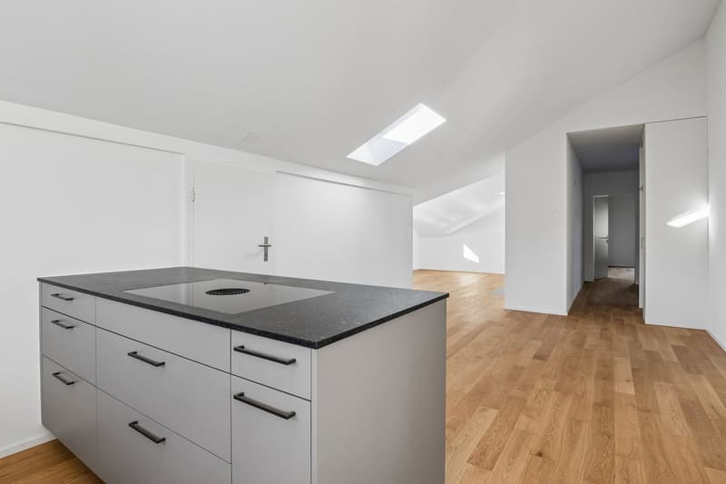 Grosszügige 3.5 Zimmer Dachwohnung (11)