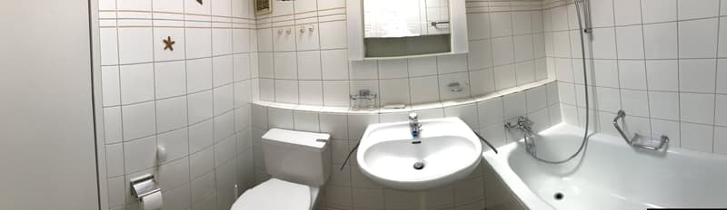 Charmante 2.5-Zimmer Dachwohnung mit Balkon (7)