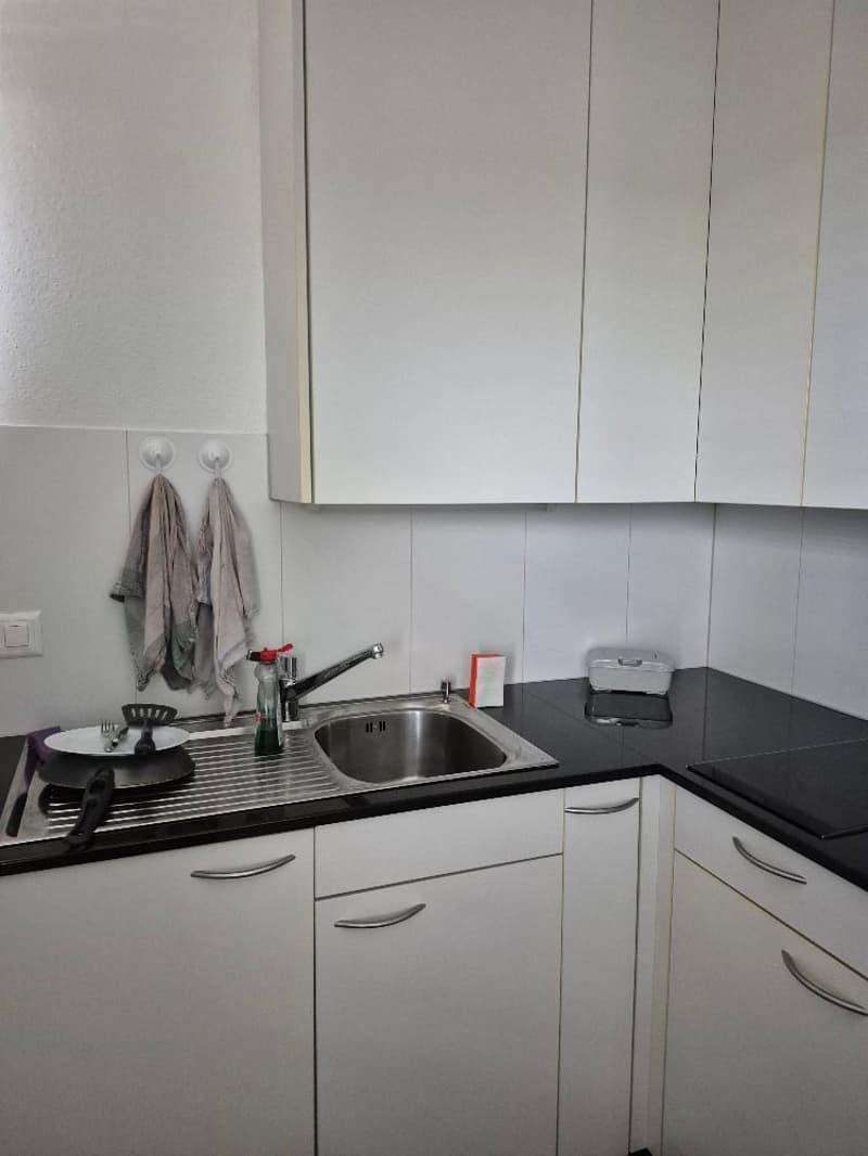 1-Zimmerwohnung im schönen Murten (2)