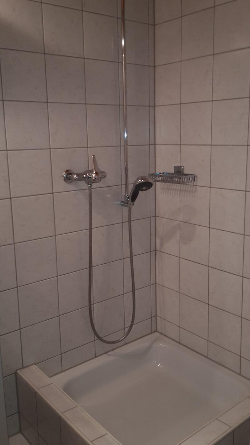 Charmante Dachwohnung im ländlichen Mühleberg zu vermieten (10)