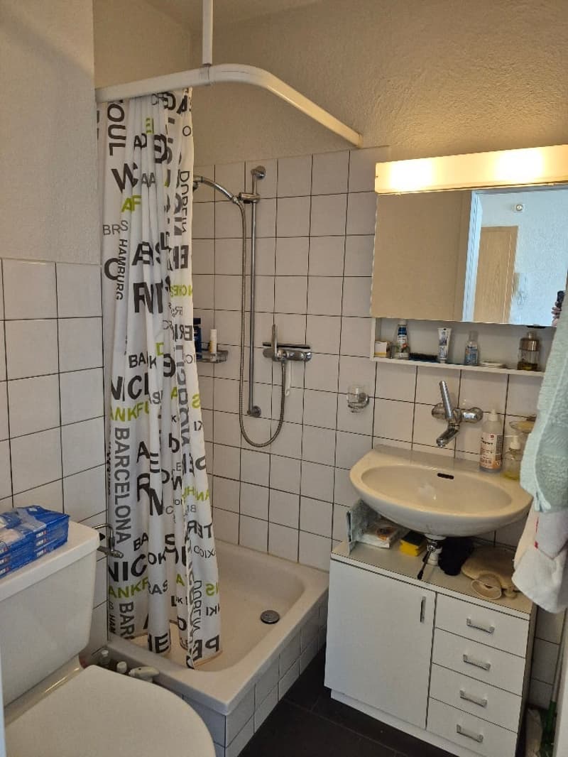 Gemütliche 1-Zimmerwohnung im 2. OG in Ostermundigen (3)