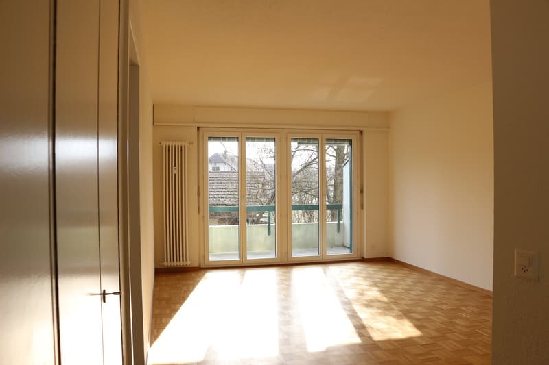 Helle 4.5-Zimmerwohnung im Hochparterre (3)