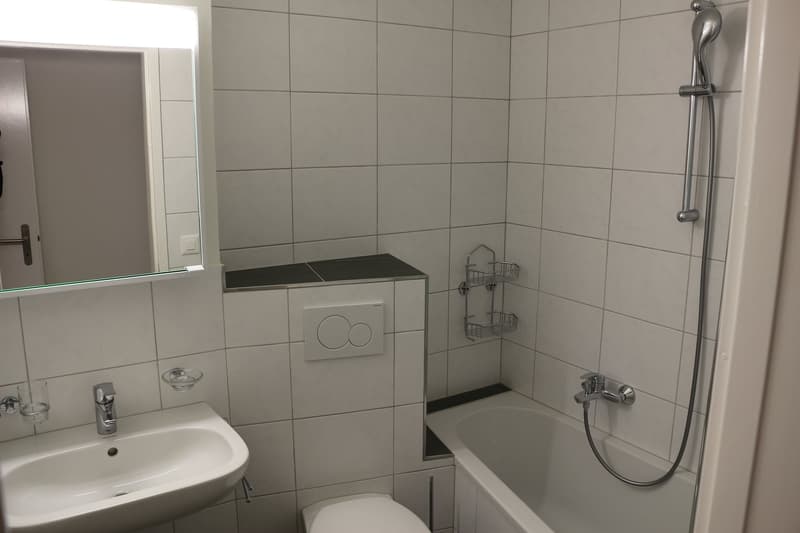 Helle 4.5-Zimmerwohnung im Hochparterre (7)