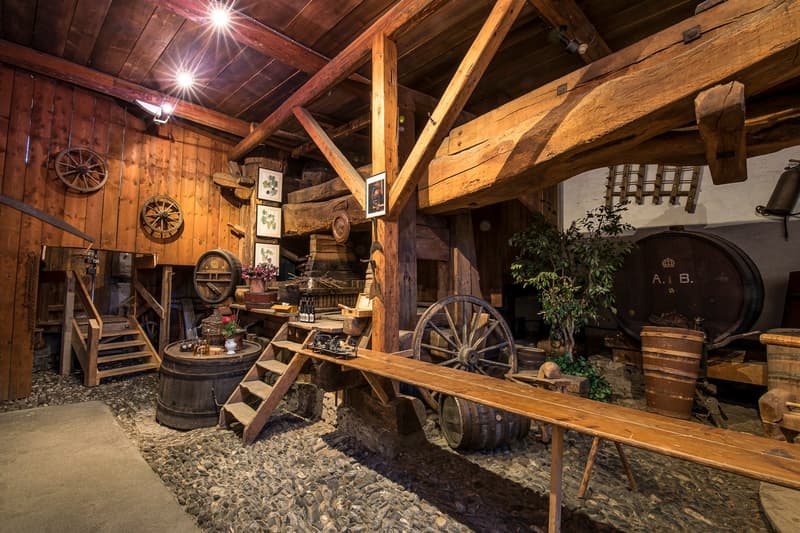 rustic room with wooden beams, gravel floor, stairs, large barrels, mounted frames, wine bottles, plants