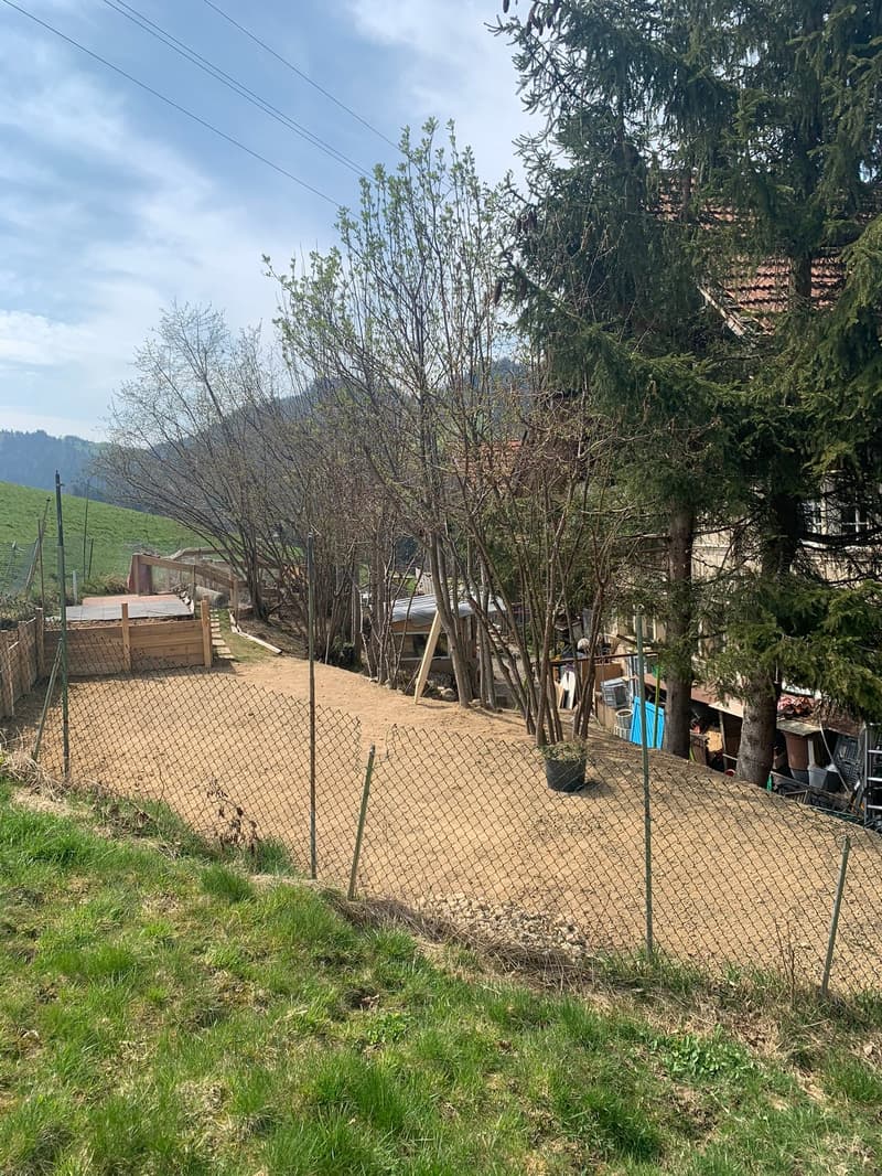6.5-Zimmer-Einfamilienhaus im Bieterverfahren (8)