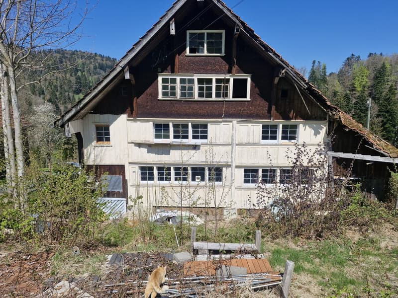 6.5-Zimmer-Einfamilienhaus im Bieterverfahren (1)