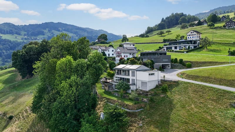 Modernes Einfamilienhaus mit Panoramablick in Gams (2)