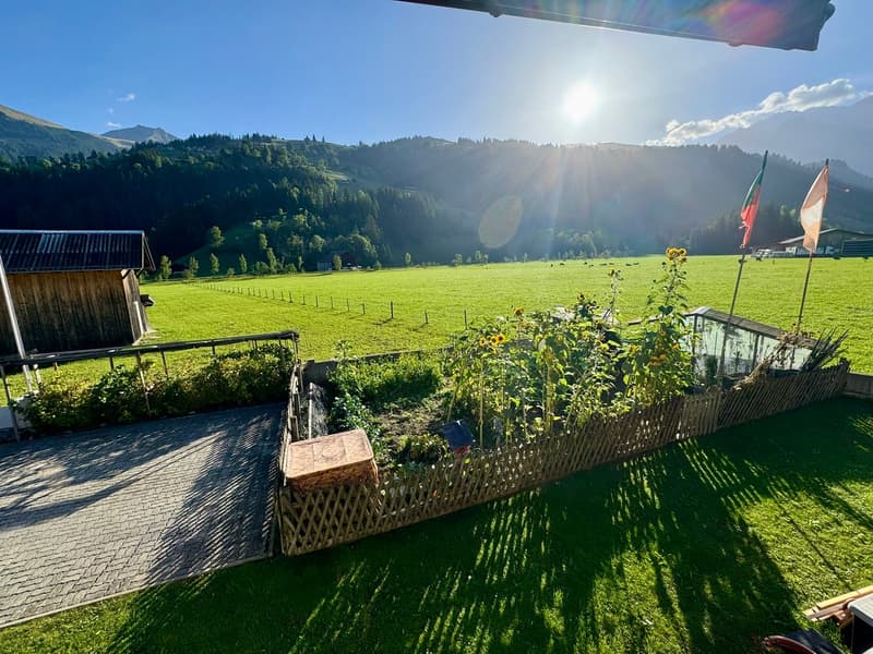 Charmante 4-Zimmer-Wohnung mit Bergblick in Lenk im Simmental (3)