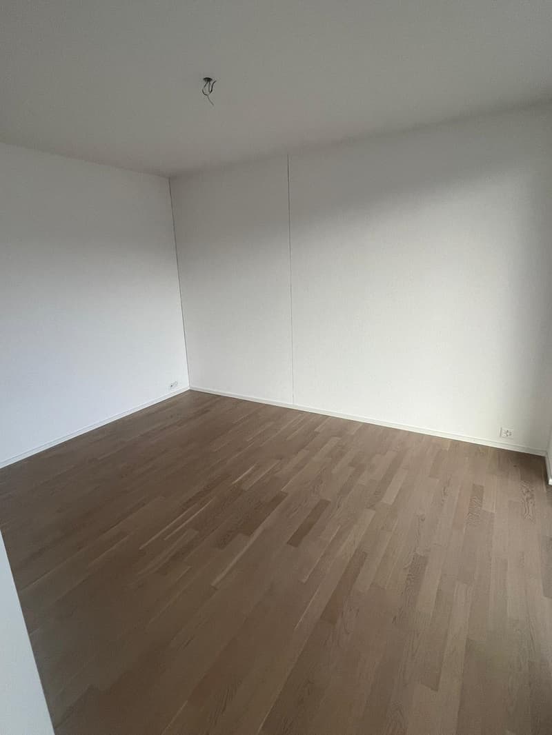 3.5 Zimmerwohnung mit grosszügigen Sonnenterasse (12)