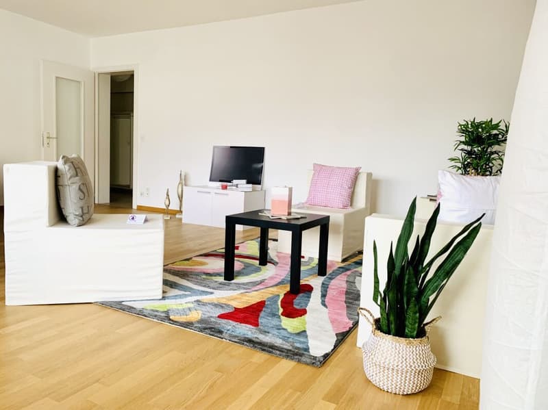 LOCARNO CENTRO | 4.5 LOCALI SOLEGGIATO (2)