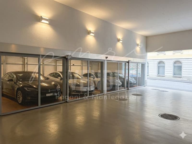 LUGANO I 4,5 PIÈCES ÉLÉGANT AVEC JARDIN (7)