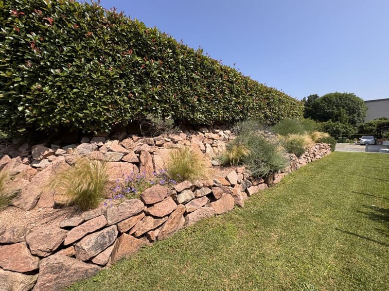 STABIO | VILLA IN PERFETTE CONDIZIONI I GIARDINO PRIVATO (17)