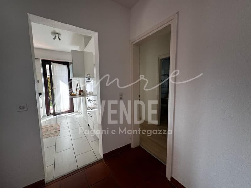 Habiter avec panorama : appartement 4.5 pièces avec vue sur le lac et piscine à Agno (11)