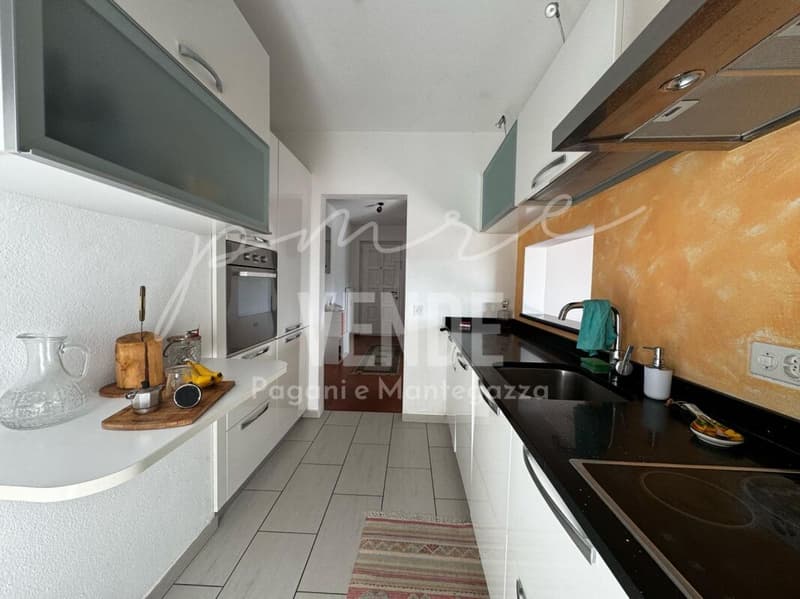 Habiter avec panorama : appartement 4.5 pièces avec vue sur le lac et piscine à Agno (12)