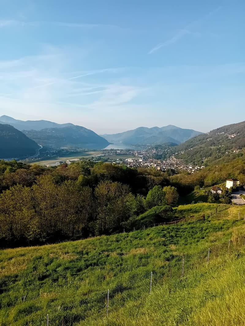 Vivere nel verde con stile – ampio 4.5 locali con giardino (10)