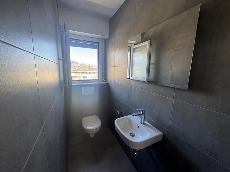Appartement de 4.5 pièces lumineux en attique (5)