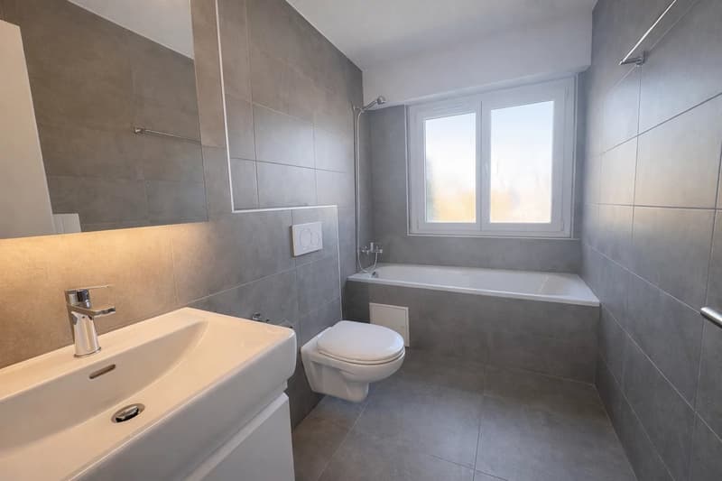 Appartement de 4.5 pièces lumineux en attique (4)