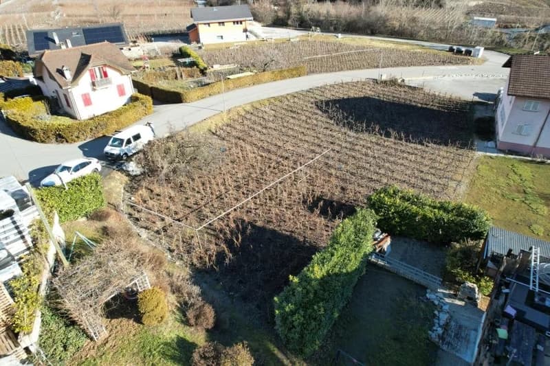 Villas mitoyennes, neuves, Conthey, cadre idyllique, 4,5 pces, 5.5 pces, pelouses, terrasses, soleil, vignoble, ski (2)