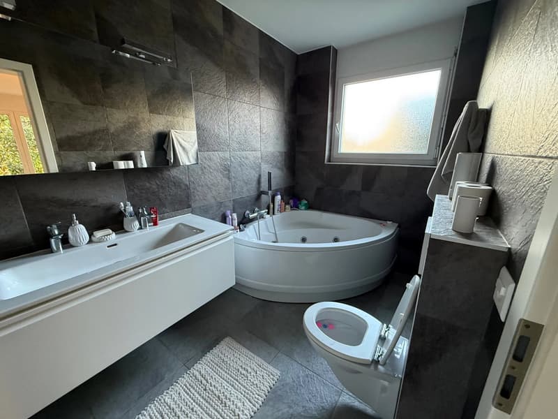 Appartement 4,5 pièces d'exception (2)
