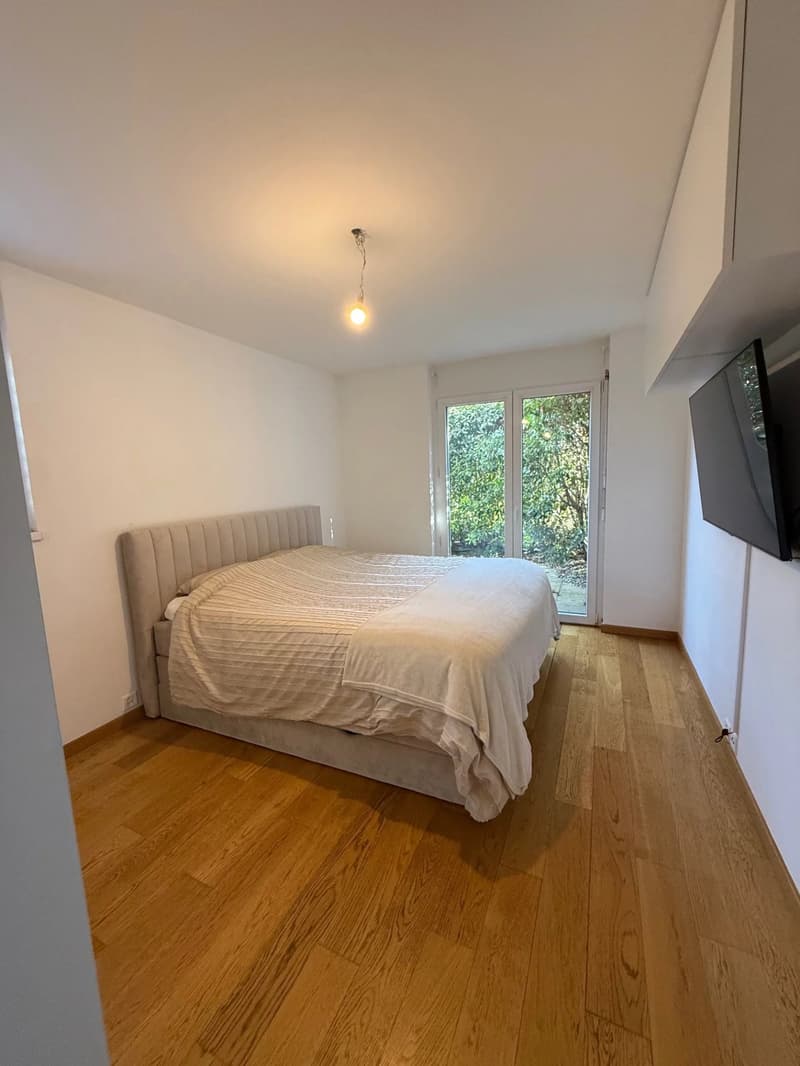 Appartement 4,5 pièces d'exception (4)