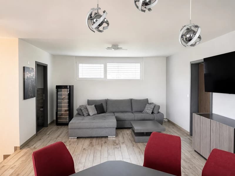 Appartement 3.5 pièces avec grande terrasse couverte (11)