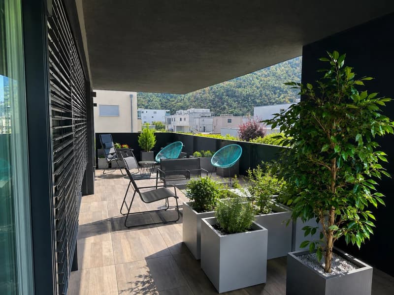 Appartement 3.5 pièces avec grande terrasse couverte (5)