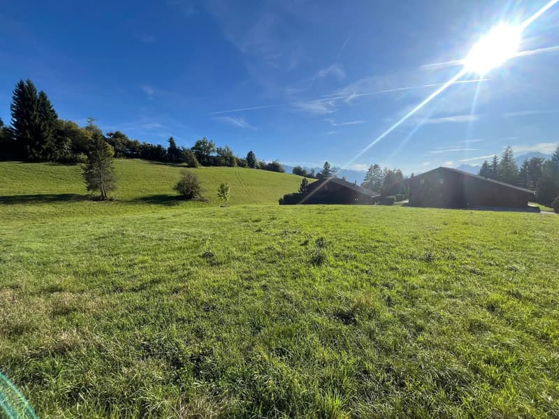 Chalet neuf haut de gamme de 4,5 pièces à Crans-Montana (11)